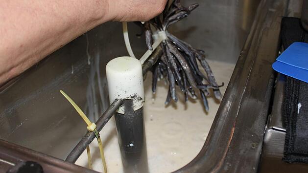 Ein Bündel Vanillestangen wird in der Eisgrundmasse miterhitzt.