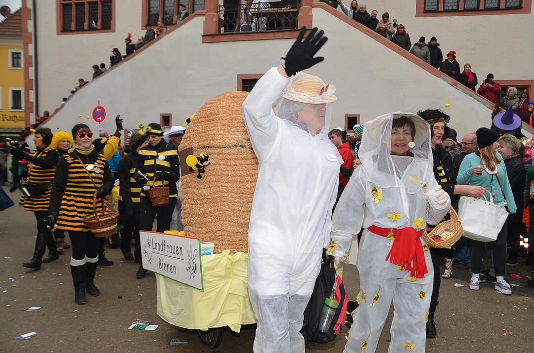 Landkreisfaschingszug 2015