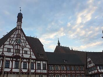 In Reih und Glied sitzen die St&ouml;rche auf dem historischen Rathaus und der Martinskirche. Foto: Luisa D&ouml;rr