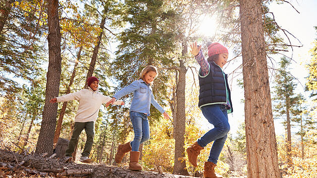 Kinder, Wald, Waldspaziergang, Kinder im Wald