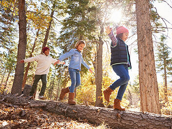 Kinder, Wald, Waldspaziergang, Kinder im Wald