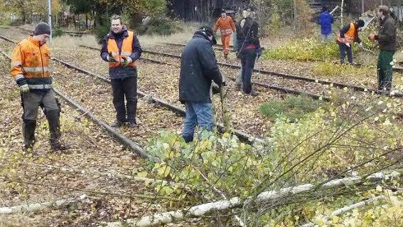 Bei frostigen Temperaturen haben zwölf freiwillige Helfer - und Helferinnen - für Ordnung gesorgt. Foto: privat