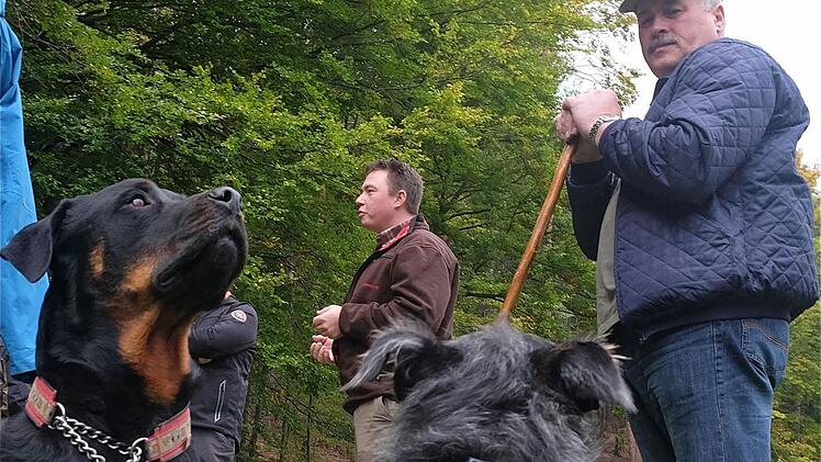 Nicht nur die Gemeinderäte und Waldbesitzer waren aufmerksame Zuhörer bei der Sulzthaler Waldbegehung. Foto: Gerd Schaar