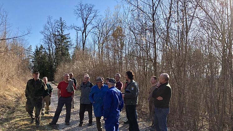 F&ouml;rster Johannes Rossiwal (3.&nbsp;v.&nbsp;r.) erl&auml;utert, wie Waldbesitzer ihren jungen Wald am besten pflegen k&ouml;nnen. Foto: AELF Bamberg