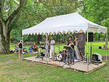 Jazz Colors aus Bamberg sorgten im Mitwitzer Schlosspark für herrlich entspannte Stimmung.