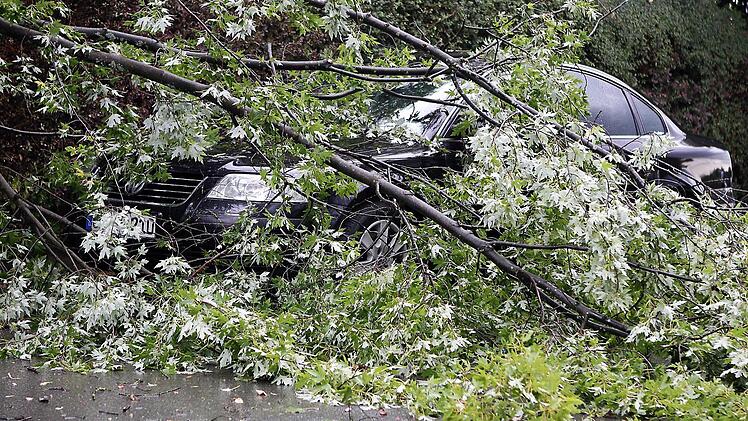 Böse Überraschung statt Fußballgenuss gestern Abend beim TSV Ebensfeld: Durch das Unwetter abgebrochene Äste sind auf ein parkendes Auto gefallen. Foto: sportpress