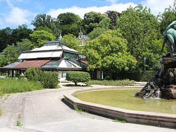 Das 34 Jahre alte Palmenhaus im Rosengarten, eine Konstruktion aus Stahl, Aluminium und Glas, hat eine Sanierung nötig.Saskia Nauer