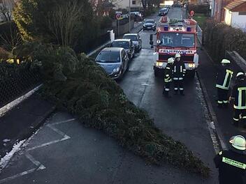 In der Maximilian-von-Welsch-Straße in Kronach fiel dieser Baum auf die Fahrbahn, wobei einige Äste das geparkte Auto streiften. Foto: Feuerwehr Kronach