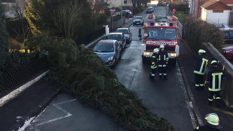 In der Maximilian-von-Welsch-Straße in Kronach fiel dieser Baum auf die Fahrbahn, wobei einige Äste das geparkte Auto streiften. Foto: Feuerwehr Kronach