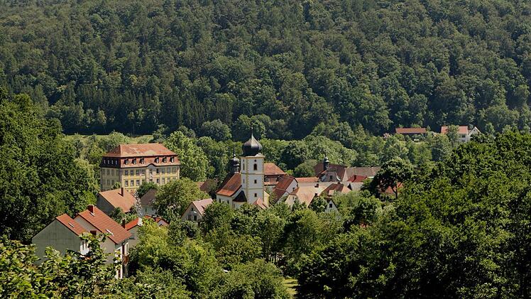 Einen Zustands- und Wirtschaftsbericht für den Ebelsbacher Wald nahm der Gemeinderat Ebelsbach zur Kenntnis. Das Fazit: Dem Wald und damit der Gemeinde geht es gut. Unser Bild zeigt den Wald rund um den Ebelsberg, im Vordergrund Gleisenau mit Schloss und Kirche.  Foto: Günther Geiling