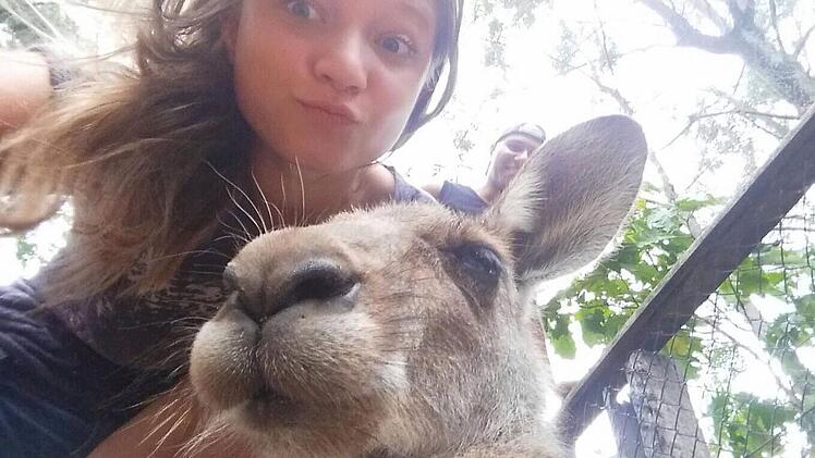 Kängurus laufen in Australien überall herum - wie hier in Brisbane. Foto: privat