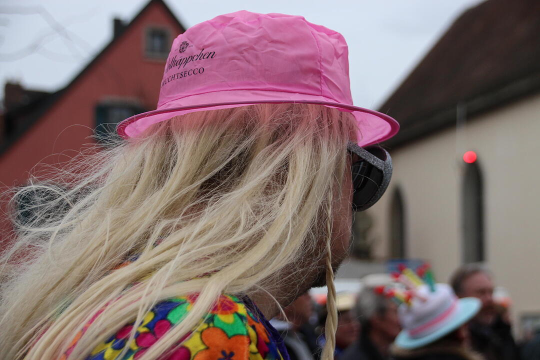 Landkreisfaschingsumzug