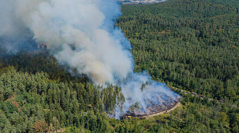Waldbrand bei Oberhaid: Einsatzkr&auml;fte bringen Feuer unter Kontrolle