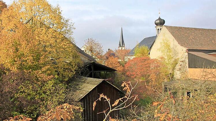 Seit vielen Jahren liegt das Gelände hinter dem ehemaligen Brauereigasthof "Zum Schwarzen Bären" im Staffelsteiner Stadtkern brach. Vom Kreuzberg aus bietet das Areal derzeit diesen Anblick: alte Zweckbauten und viel Vegetation. Fotos: Matthias Einwag