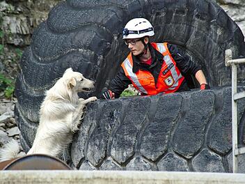 "Pepper" lernt das Suchen und Finden von Vermissten.  Fotos: privat/Malbrich