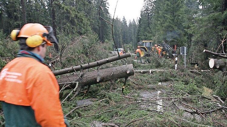 Ihr Zentrum könnte eine mögliche Hochschule für Forst und Holz zwar in Kronach haben, doch mit drei Außenstellen soll auch der ganze Landkreis gestärkt werden. Durch Wissenschaft und Lehre soll auch die örtliche Holz- und Forstwirtschaft profitieren. Foto: Peter Steffen/dpa