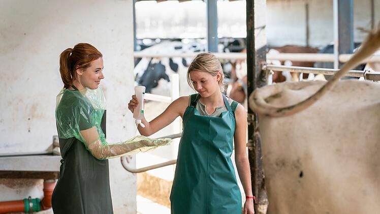 Tierärztin Julia (Meriel Hinsching, links) untersucht Bauer Rothes Kuh Lotte. Rothes Tochter Lisa (Lilly Barshy) möchte Humanmedizin studieren, erweist sich aber auch als talentierte Tierarzthelferin.