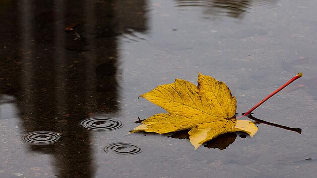 F&uuml;r Franken ist kein Schneefall mehr gemeldet.