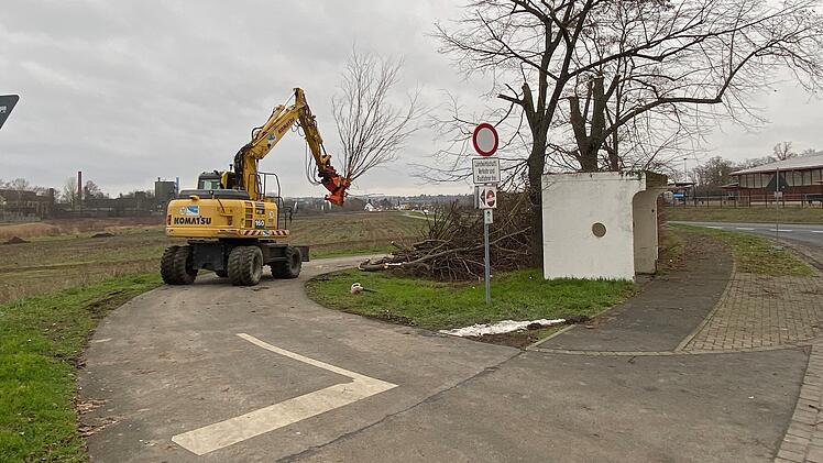 Kitzingen/Gro&szlig;langheim: Rodung wegen Kreiselbau - Vorarbeiten auf der Staatstra&szlig;e haben begonnen