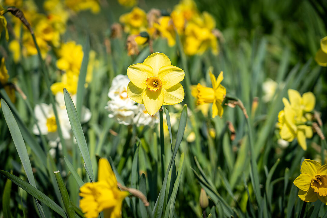 Wundersch&ouml;ne Naturfotos aus Bamberg.