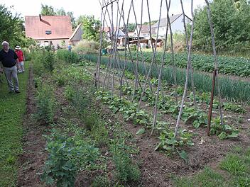 Der Naturgarten von Peter Hofmann und Petra Niedermeyer ist geprägt von Gemüseanbau und Wildwuchs. Foto: Mathias Erlwein