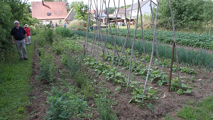 Der Naturgarten von Peter Hofmann und Petra Niedermeyer ist geprägt von Gemüseanbau und Wildwuchs. Foto: Mathias Erlwein