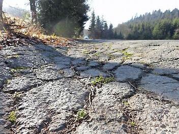 Der Markt Grafengehaig will heuer mit der Sanierung von zwei maroden Gemeindeverbindungsstraßen beginnen. Foto: Archiv