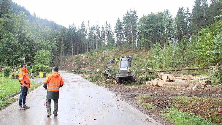 Blick von der Felsmühle in Richtung Felsnase  Foto: Friedwald Schedel