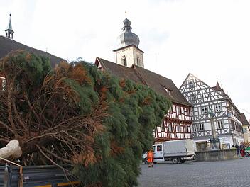 Fotos: Josef Hofbauer