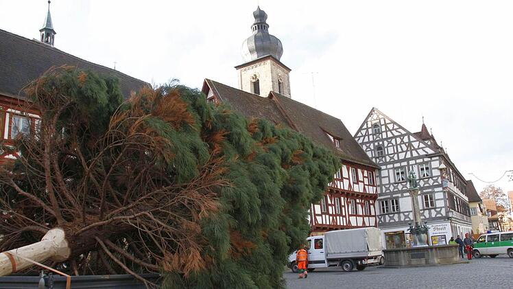 Fotos: Josef Hofbauer