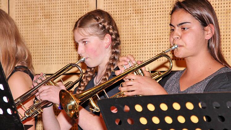 Die Schüler des Philipp-Schönborn-Gymnasiums Münnerstadt begeisterten bei ihrem Sommerkonzert mit Musik und Gesang. Foto: Dieter Britz