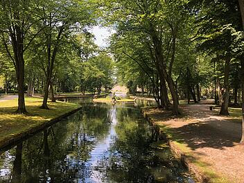 Durch die Mitte des Bayreuther Hofgartens führt ein Kanal mit Wasserbecken und Inseln.