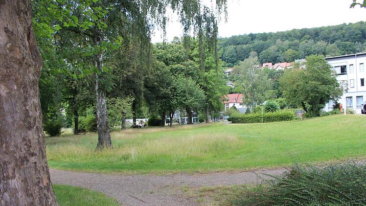 Zwei Birken und ein Ahorn müssen für das Medzentrum gefällt werden. Foto: Julia Raab