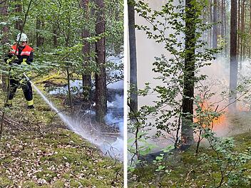 Strullendorf: Waldbrand im Landkreis Bamberg - "Wären nicht zurechtgekommen"