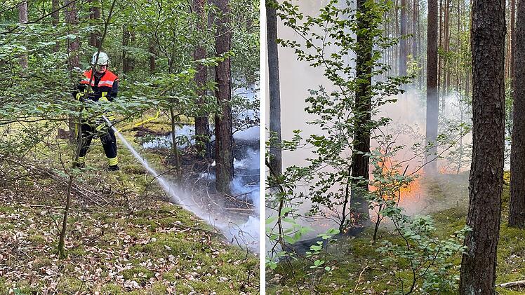 Strullendorf: Waldbrand im Landkreis Bamberg - "Wären nicht zurechtgekommen"