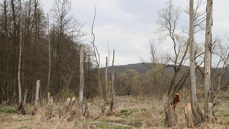 Weiter geht's in noch unwegsameres Gelände.