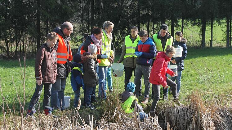 Vorsichtig werden die gesammelten Kröten von der Kindergruppe "Monsterpfoten" in den Weiher gesetzt. Foto: Christa Schröder