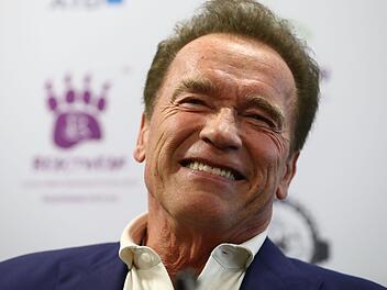 Mit keinem Film verdiente Arnold Schwarzenegger mehr als mit der Komödie "Twins - Zwillinge".