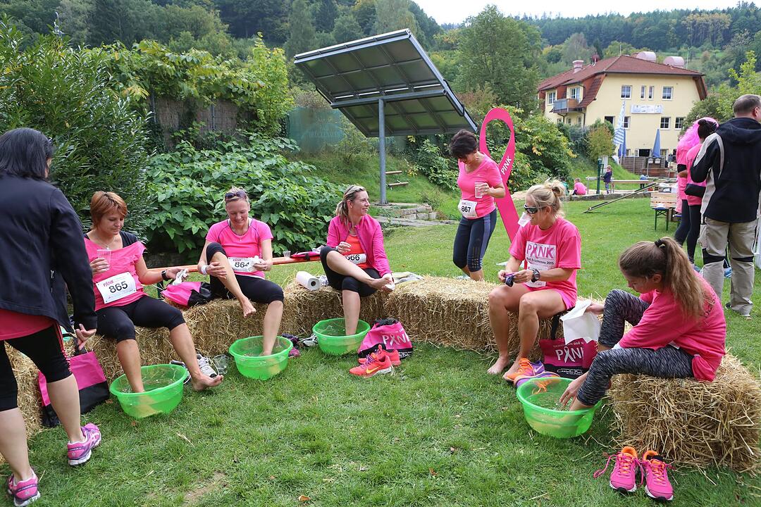 Pinklauf 2015