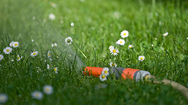 Sch&ouml;ner Rasen dank Trick mit Marmeladenglas &ndash; so geht&rsquo;s