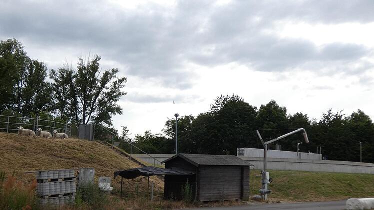 Die Kläranlage für die Kommunen Zeil und Sand in Zeil muss für die Klärschlammtrocknung aufgerüstet werden. Das kostet Geld. Christian Licha