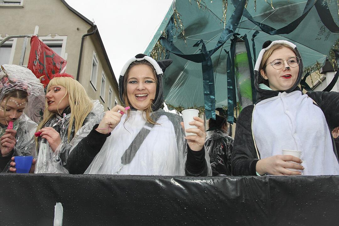 Großer Faschingsumzug  zum Stadtsteinacher Marktplatz