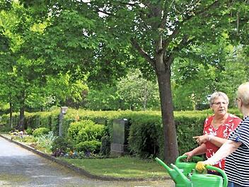 Der hintere Friedhofsbereich soll schrittweise umgestaltet werden. Der Charakter soll parkähnlich sein, da nicht mehr alle Grabflächen belegt sind. Foto: Heike Beudert