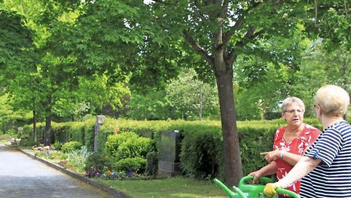 Der hintere Friedhofsbereich soll schrittweise umgestaltet werden. Der Charakter soll parkähnlich sein, da nicht mehr alle Grabflächen belegt sind. Foto: Heike Beudert