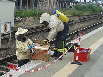 Am Samstag haben zehntausende Bienen am Aschaffenburger Bahnhof f&uuml;r Zugversp&auml;tungen gesorgt. Bundespolizei und Feuerwehr mussten ausr&uuml;cken, um die Bienen einzufangen. Foto: Bundespolizei