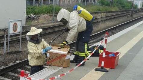 Am Samstag haben zehntausende Bienen am Aschaffenburger Bahnhof f&uuml;r Zugversp&auml;tungen gesorgt. Bundespolizei und Feuerwehr mussten ausr&uuml;cken, um die Bienen einzufangen. Foto: Bundespolizei