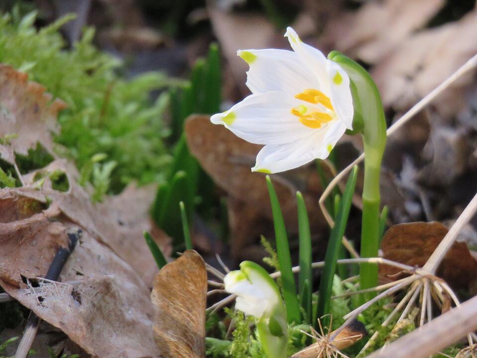 Die schönsten Fotos im Februar aus Haßfurt und Umgebung