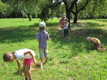 Zum Kräutersammeln schwärmten die Zeiler Buben und Mädchen aus, die das Ferienprogramm-Angebot des Zeiler Obst- und Gartenbauvereins mitmachten. Fotos: Maria Reinwand