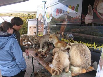 Der Stand vom Bionetzwerk Rhön zeigte präparierte Tiere. Foto: Hilmar Ruppert