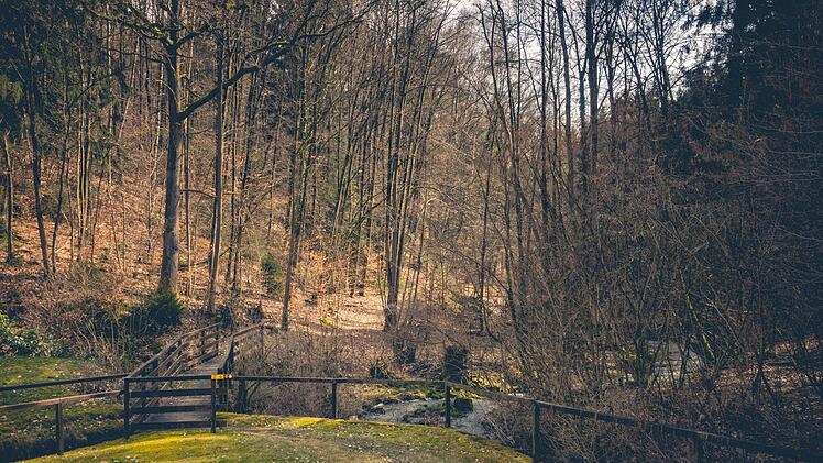 Ein Auszug aus dem Projekt "365 Tage Lichtenfels". Klaus Wendel